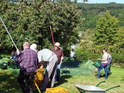 2025-10-17 19.41.28-3